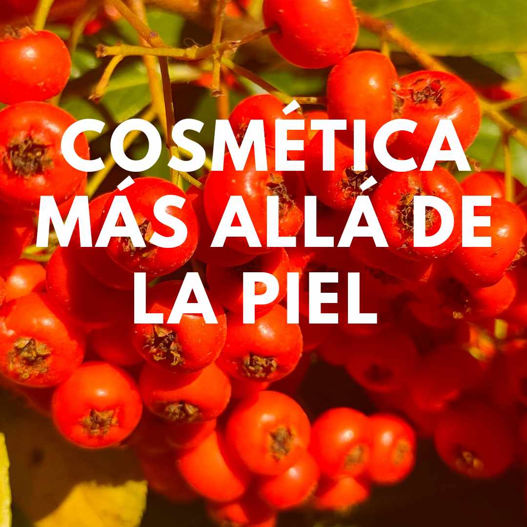 COSMÉTICA MÁS ALLÁ DE LA PIEL